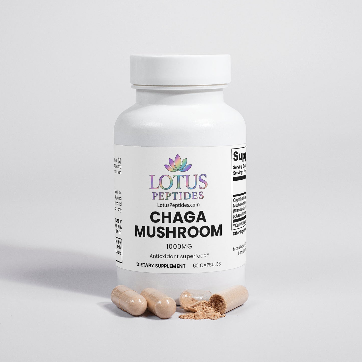 Chaga Mushroom