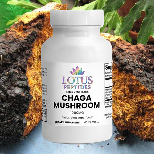 Chaga Mushroom