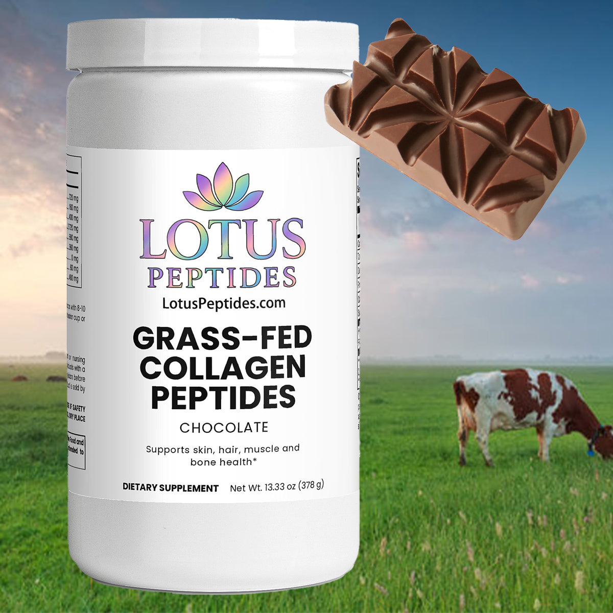 Grass-Fed Collagen Peptides Powder (Chocolate)