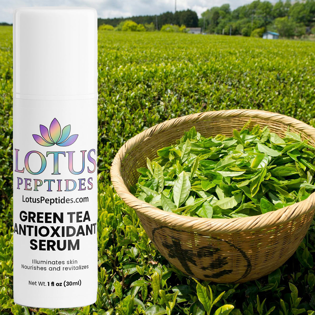 Green Tea Antioxidant Serum