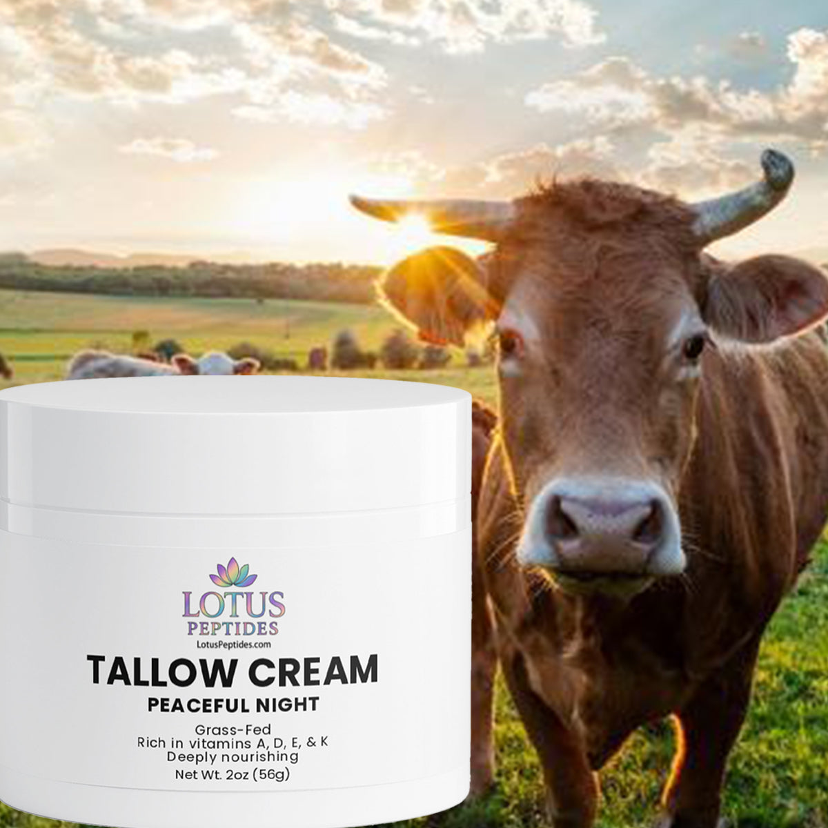 Tallow Cream Peaceful Night