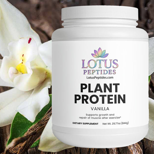 Plant Protein (Vanilla)